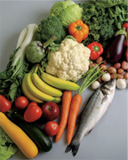 Best Bet Diet Cookbook - FREE